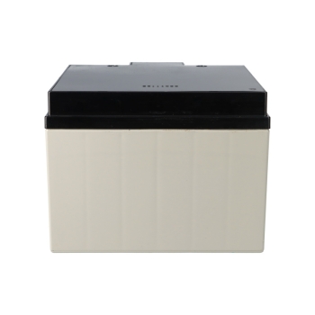 Yuasa Blei-Akku NPL24-12I Pb 12V